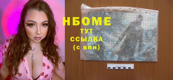 бошки Няндома
