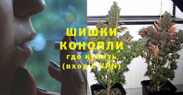 бошки Няндома
