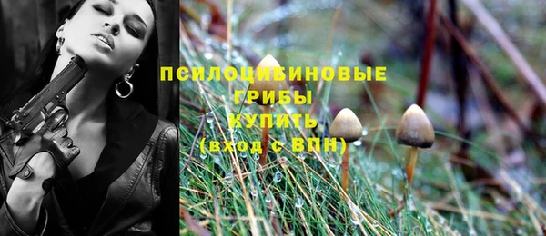 не бодяженный Нязепетровск