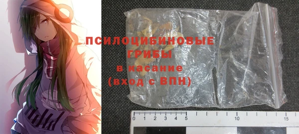 бошки Няндома