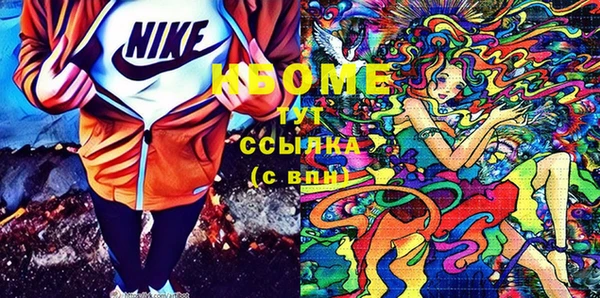 бошки Няндома