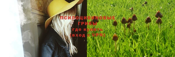 не бодяженный Нязепетровск