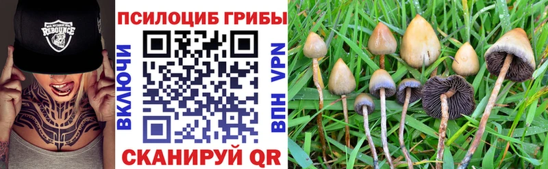 Купить закладки  Ардатов  Галлюциногенные грибы ЛСД 